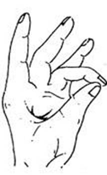 2Prithvi Mudra.jpg