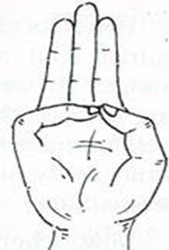 3Varuna Mudra.jpg