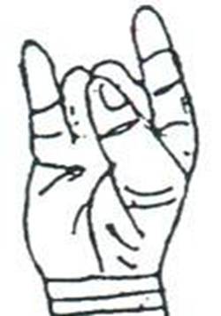 8Apana Mudra.jpg